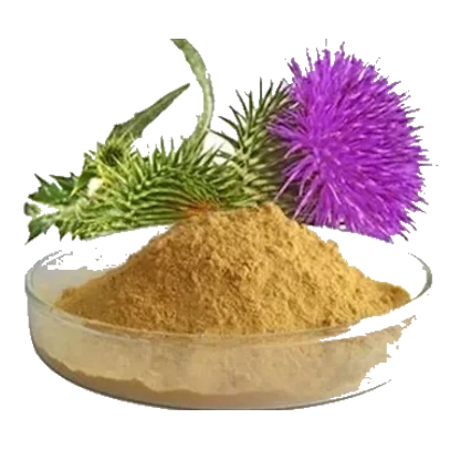 Silymarin / Milk thistle extract